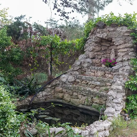 Family Friendly House Apartment